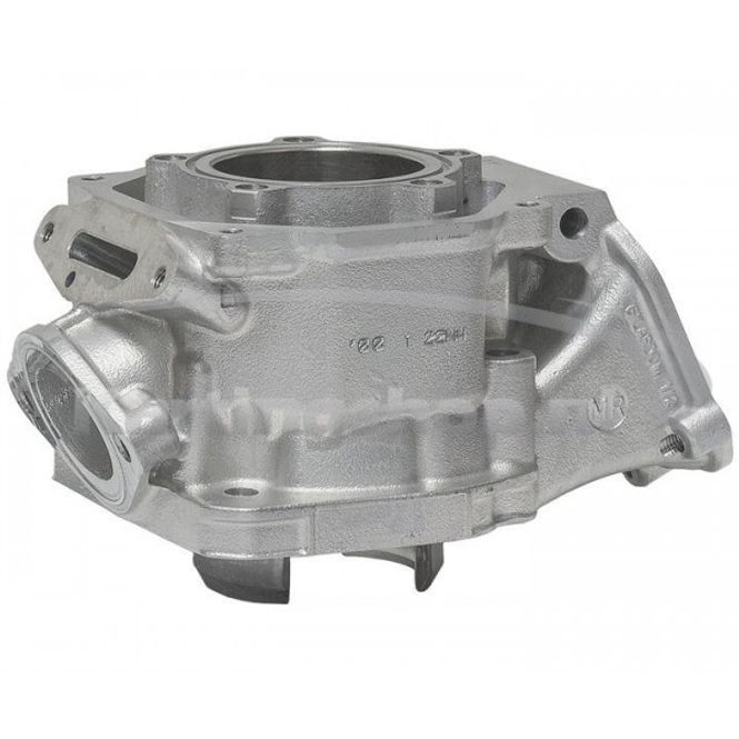 Hovedbilde Rotax DD2 2023 Sylinder