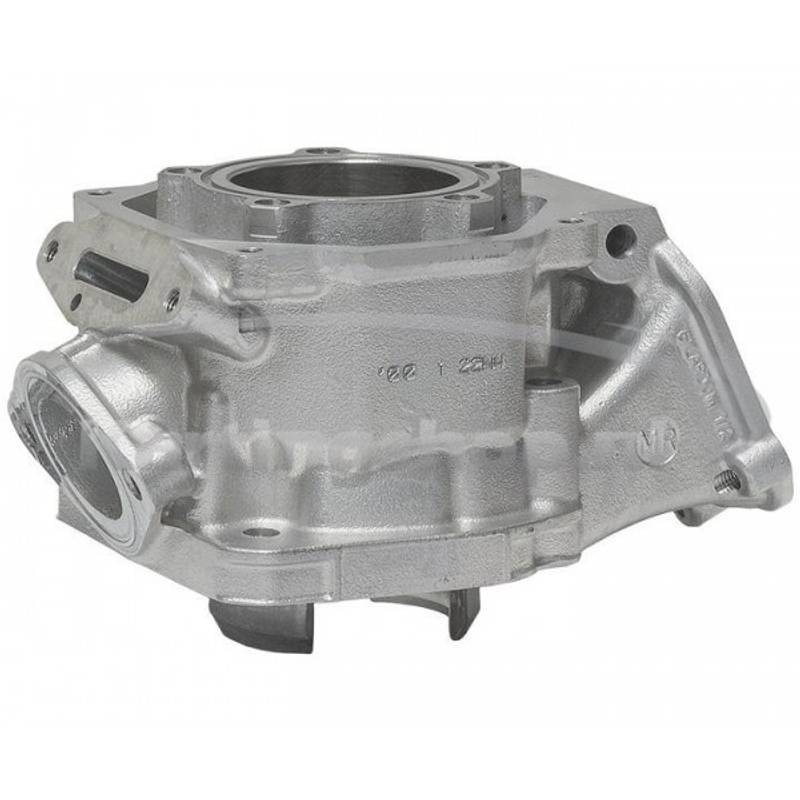 Rotax DD2 2023 Sylinder